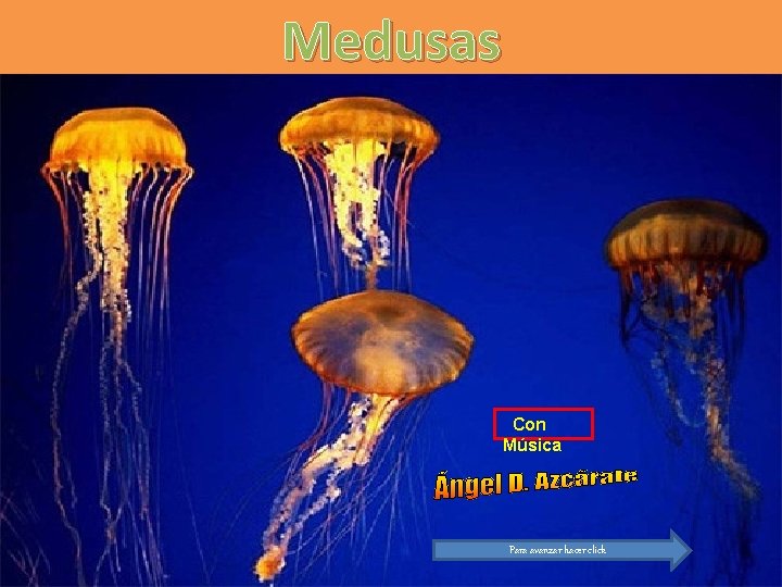 Medusas Con Música Para avanzar hacer click 