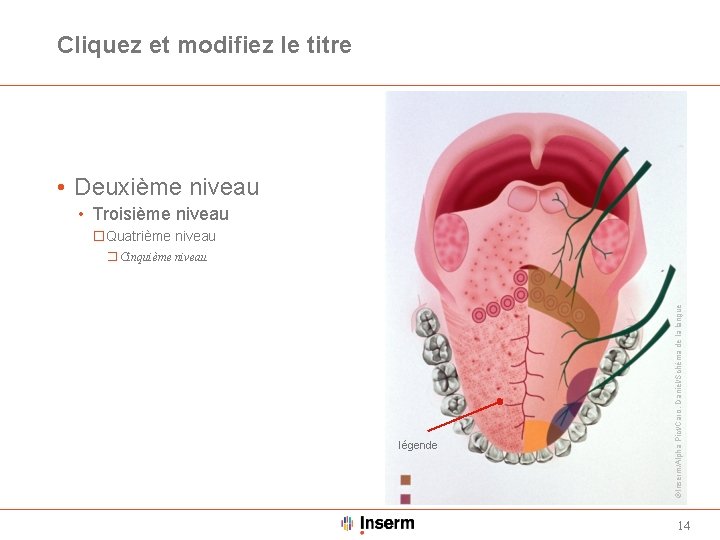 Cliquez et modifiez le titre • Deuxième niveau • Troisième niveau �Quatrième niveau légende