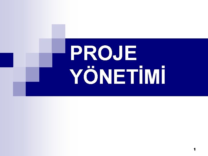 PROJE YÖNETİMİ 1 