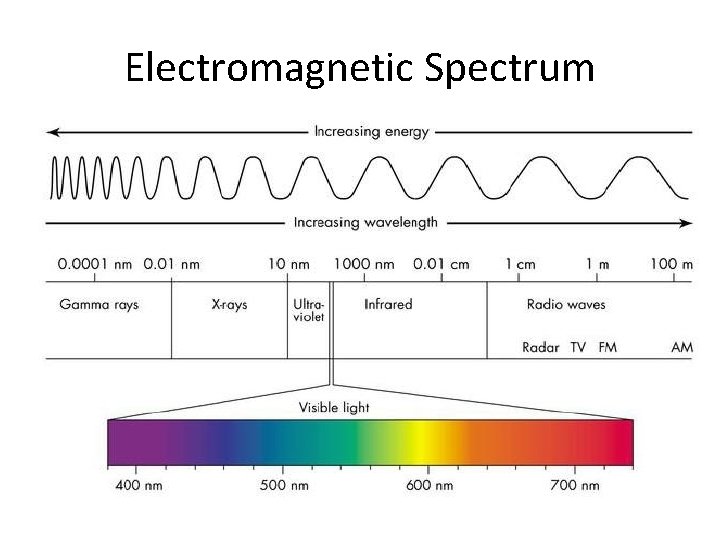 Electromagnetic Spectrum 