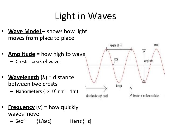 Light in Waves • Wave Model – shows how light moves from place to