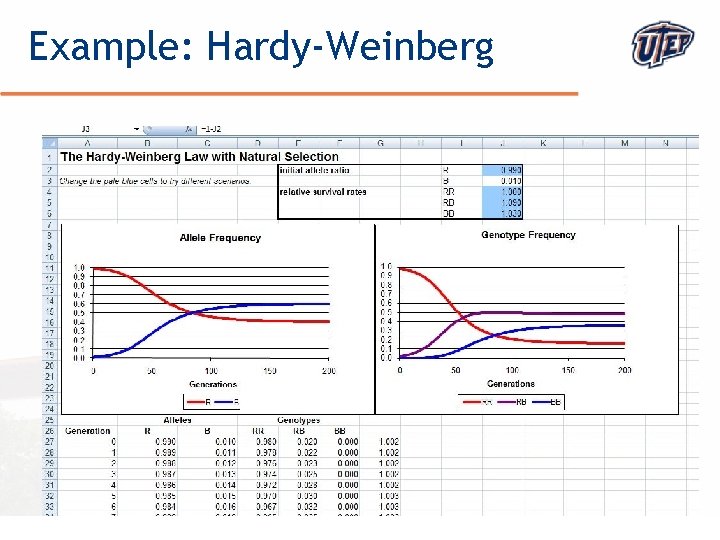 Example: Hardy-Weinberg © The University of Texas at El Paso 