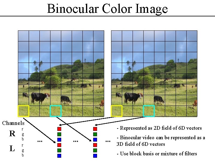 Binocular Color Image Channels R L r g b - Represented as 2 D