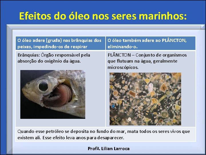 Efeitos do óleo nos seres marinhos: O óleo adere (gruda) nas brânquias dos peixes,