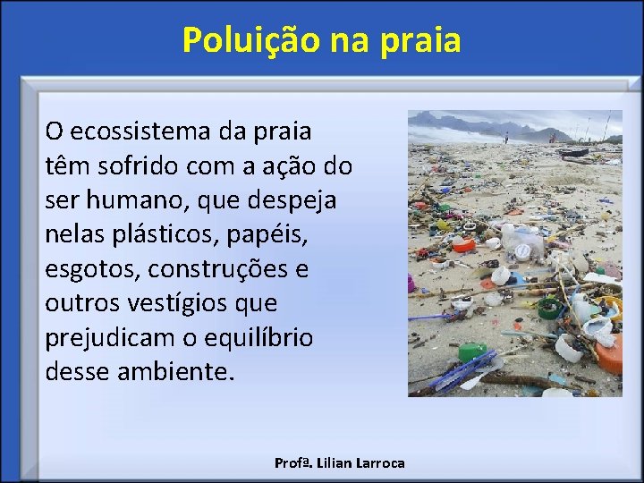 Poluição na praia O ecossistema da praia têm sofrido com a ação do ser