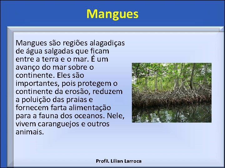 Mangues são regiões alagadiças de água salgadas que ficam entre a terra e o