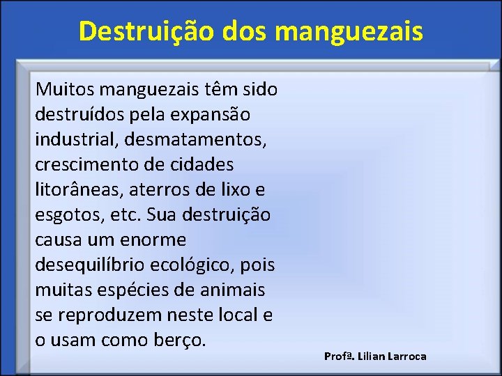 Destruição dos manguezais Muitos manguezais têm sido destruídos pela expansão industrial, desmatamentos, crescimento de