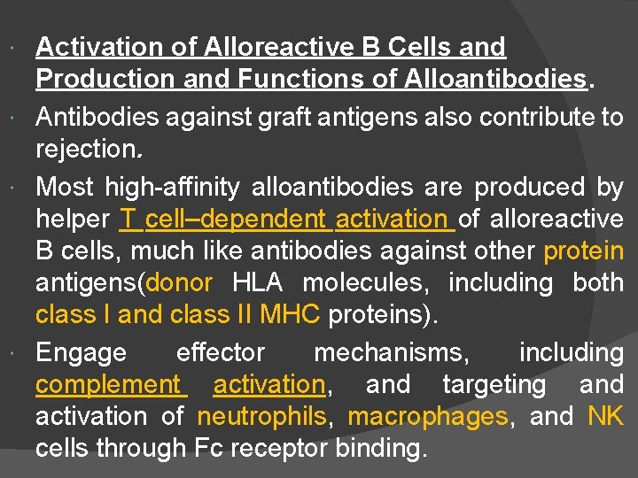 Activation of Alloreactive B Cells and Production and Functions of Alloantibodies. Antibodies against graft