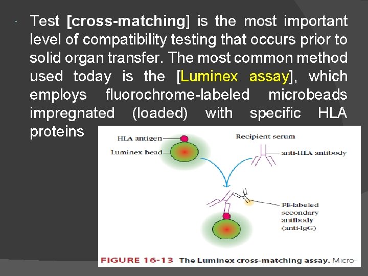  Test [cross-matching] is the most important level of compatibility testing that occurs prior