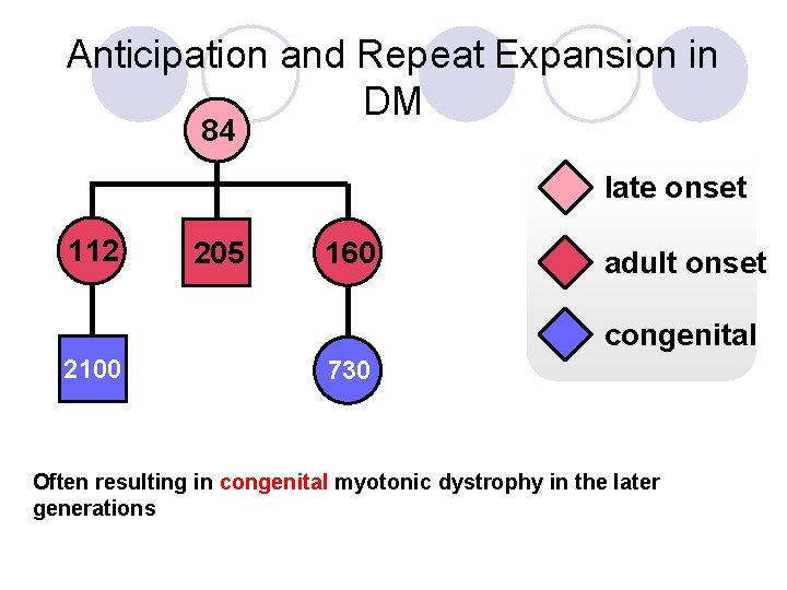 Anticipation and Repeat Expansion in DM 84 late onset 112 205 160 adult onset