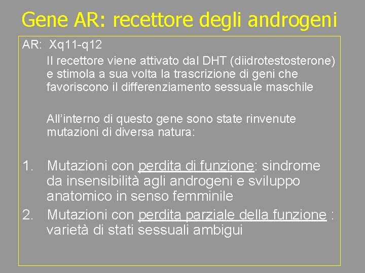 Gene AR: recettore degli androgeni AR: Xq 11 -q 12 Il recettore viene attivato