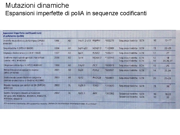 Mutazioni dinamiche Espansioni imperfette di poli. A in sequenze codificanti 