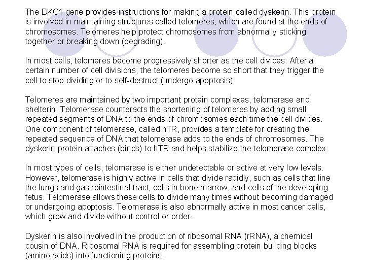 The DKC 1 gene provides instructions for making a protein called dyskerin. This protein