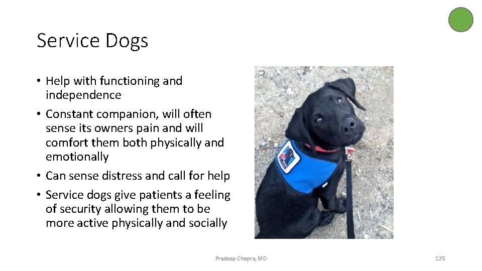 Service Dogs • Help with functioning and independence • Constant companion, will often sense