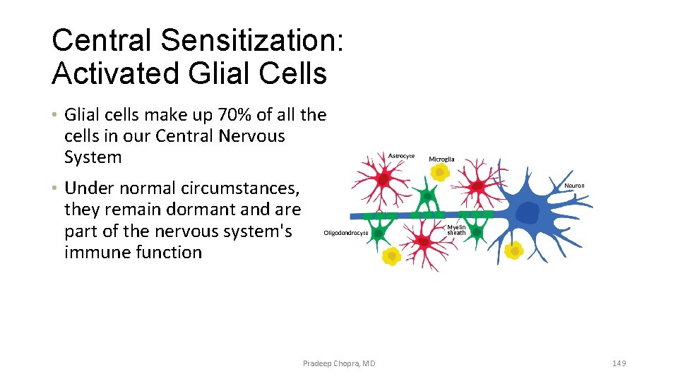 Central Sensitization: Activated Glial Cells • Glial cells make up 70% of all the