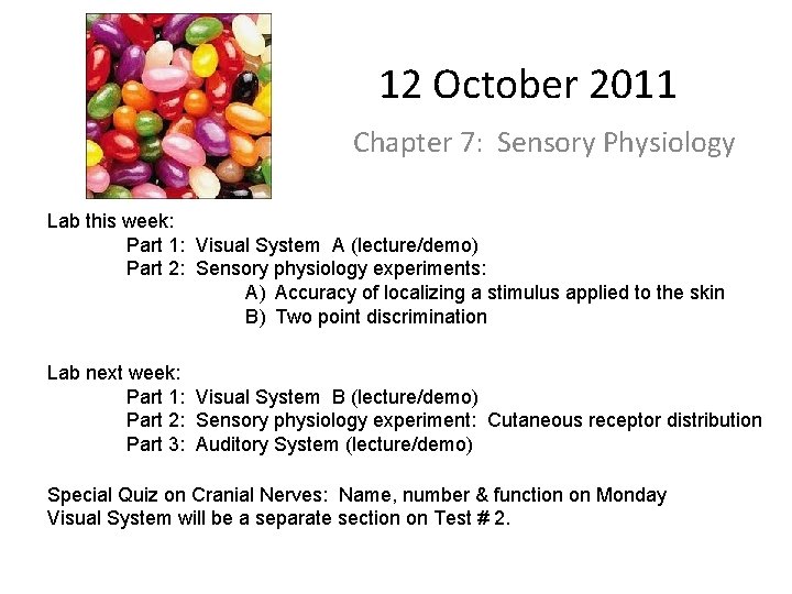 12 October 2011 Chapter 7: Sensory Physiology Lab this week: Part 1: Visual System
