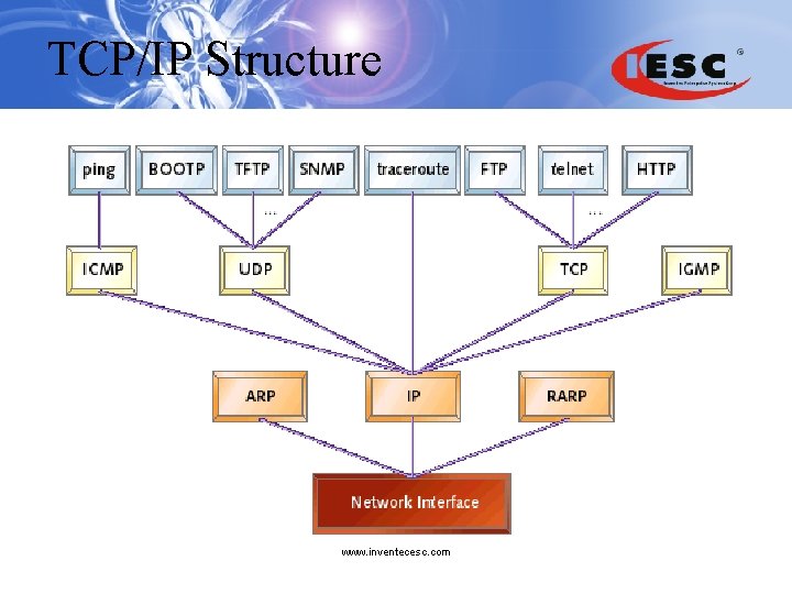 TCP/IP Structure www. inventecesc. com 