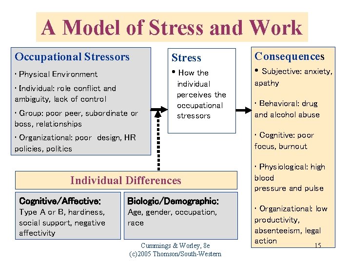 A Model of Stress and Work Occupational Stressors • Physical Environment • Individual: role