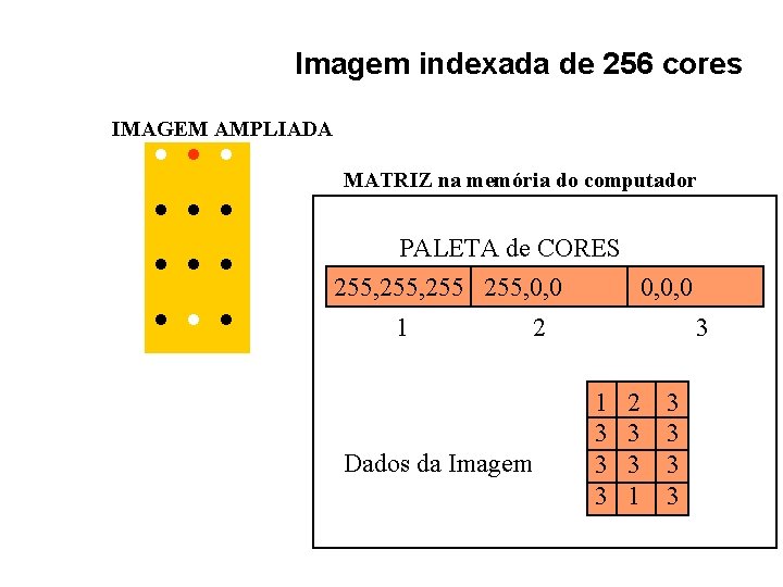 Imagem indexada de 256 cores . . . IMAGEM AMPLIADA MATRIZ na memória do