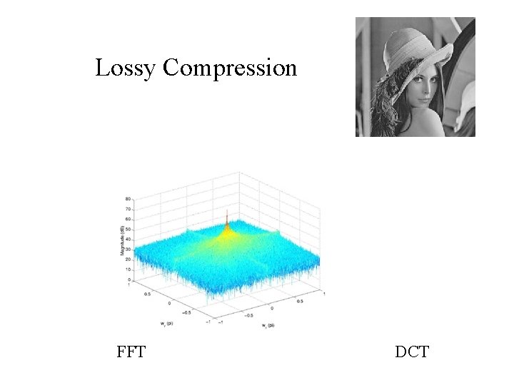 Lossy Compression FFT DCT 