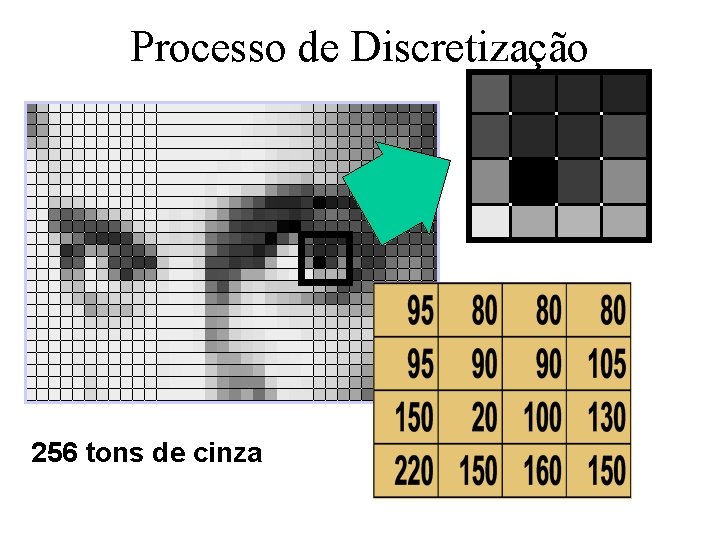 Processo de Discretização 256 tons de cinza 