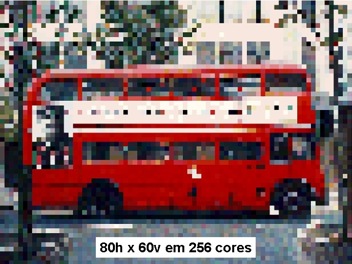 80 h x 60 v em 256 cores 