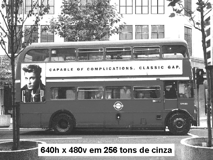 640 h x 480 v em 256 tons de cinza 