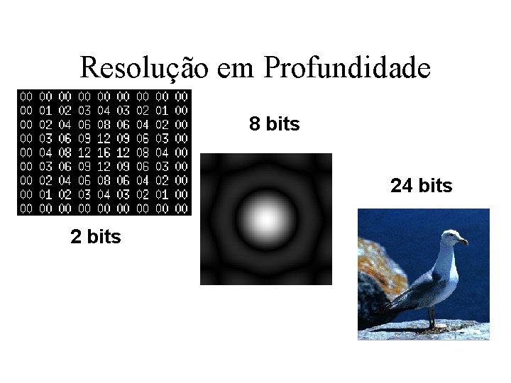 Resolução em Profundidade 8 bits 24 bits 2 bits 