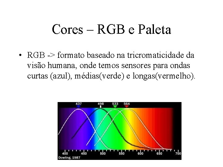 Cores – RGB e Paleta • RGB -> formato baseado na tricromaticidade da visão