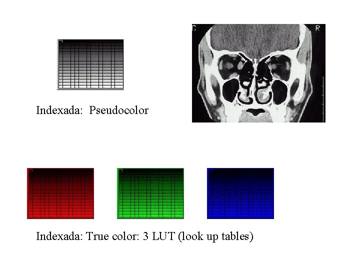 Indexada: Pseudocolor Indexada: True color: 3 LUT (look up tables) 