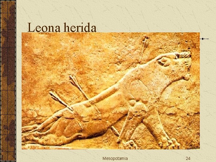 Leona herida Mesopotamia 24 