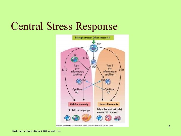 Central Stress Response 8 Mosby items and derived items © 2006 by Mosby, Inc.