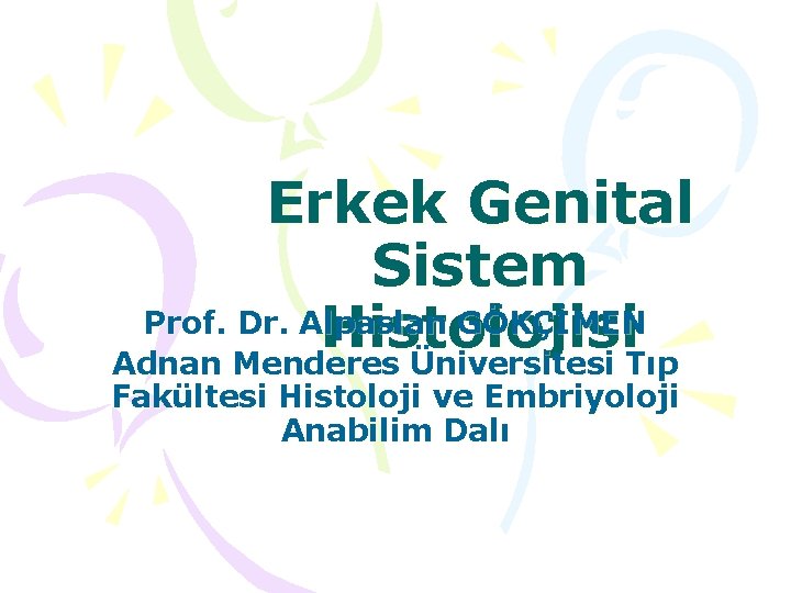Erkek Genital Sistem Prof. Dr. Alpaslan GÖKÇİMEN Histolojisi Adnan Menderes Üniversitesi Tıp Fakültesi Histoloji