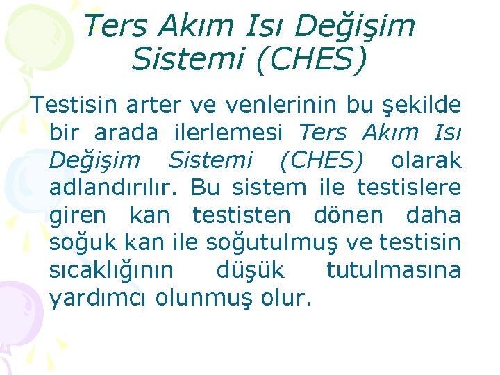 Ters Akım Isı Değişim Sistemi (CHES) Testisin arter ve venlerinin bu şekilde bir arada