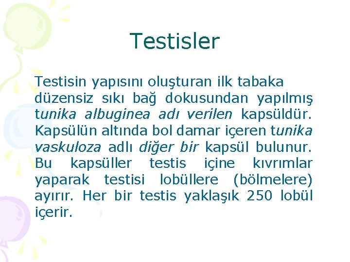 Testisler Testisin yapısını oluşturan ilk tabaka düzensiz sıkı bağ dokusundan yapılmış tunika albuginea adı