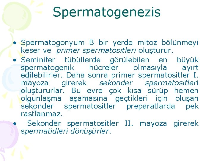 Spermatogenezis • Spermatogonyum B bir yerde mitoz bölünmeyi keser ve primer spermatositleri oluşturur. •