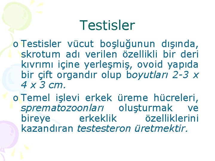 Testisler o Testisler vücut boşluğunun dışında, skrotum adı verilen özellikli bir deri kıvrımı içine