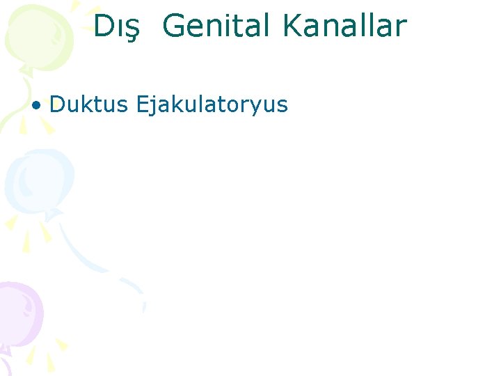 Dış Genital Kanallar • Duktus Ejakulatoryus 