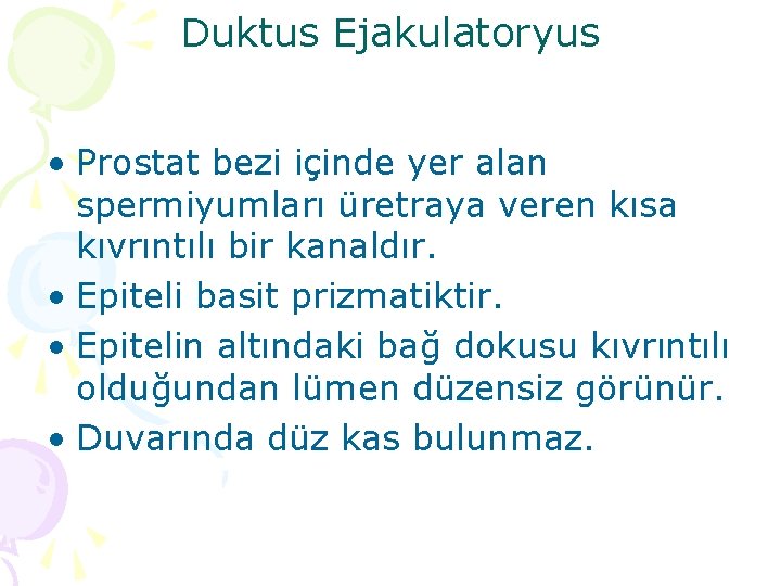 Duktus Ejakulatoryus • Prostat bezi içinde yer alan spermiyumları üretraya veren kısa kıvrıntılı bir