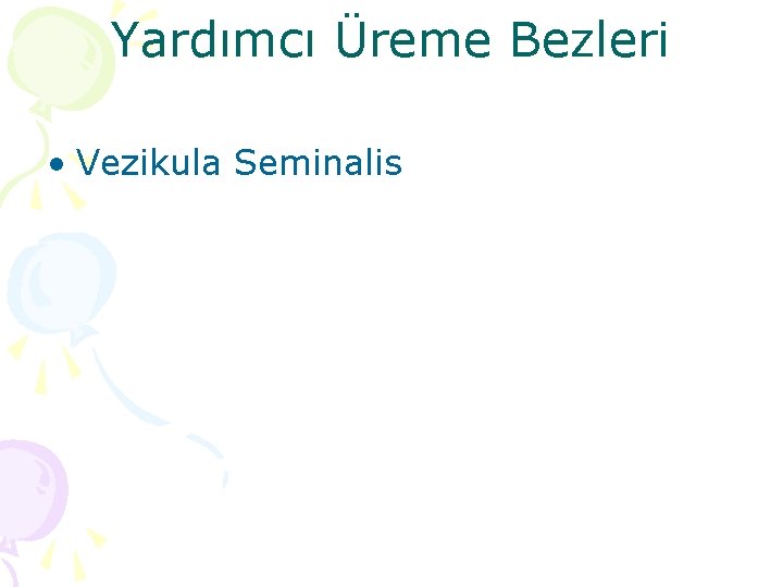 Yardımcı Üreme Bezleri • Vezikula Seminalis 