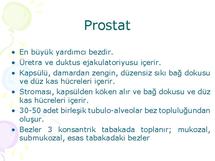 Prostat • En büyük yardımcı bezdir. • Üretra ve duktus ejakulatoriyusu içerir. • Kapsülü,