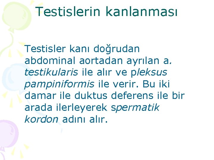 Testislerin kanlanması Testisler kanı doğrudan abdominal aortadan ayrılan a. testikularis ile alır ve pleksus