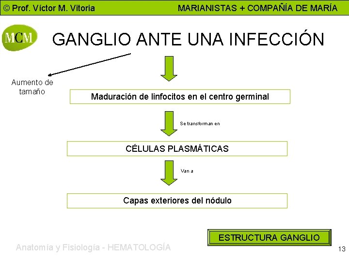 © Prof. Víctor M. Vitoria MARIANISTAS + COMPAÑÍA DE MARÍA GANGLIO ANTE UNA INFECCIÓN