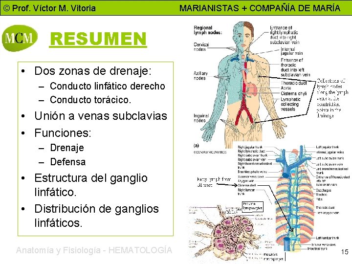 © Prof. Víctor M. Vitoria MARIANISTAS + COMPAÑÍA DE MARÍA RESUMEN • Dos zonas