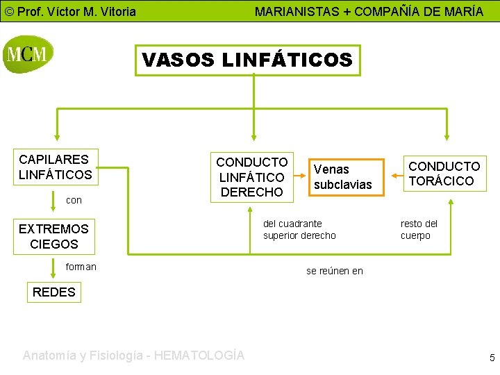 © Prof. Víctor M. Vitoria MARIANISTAS + COMPAÑÍA DE MARÍA VASOS LINFÁTICOS CAPILARES LINFÁTICOS