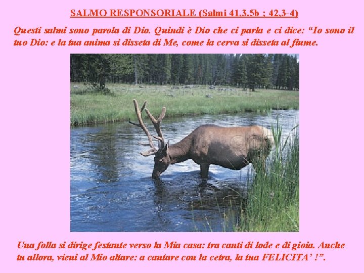 SALMO RESPONSORIALE (Salmi 41, 3. 5 b ; 42, 3 -4) Questi salmi sono SALMO RESPONSORIALE (Salmi 41, 3. 5 b ; 42, 3 -4) Questi salmi sono