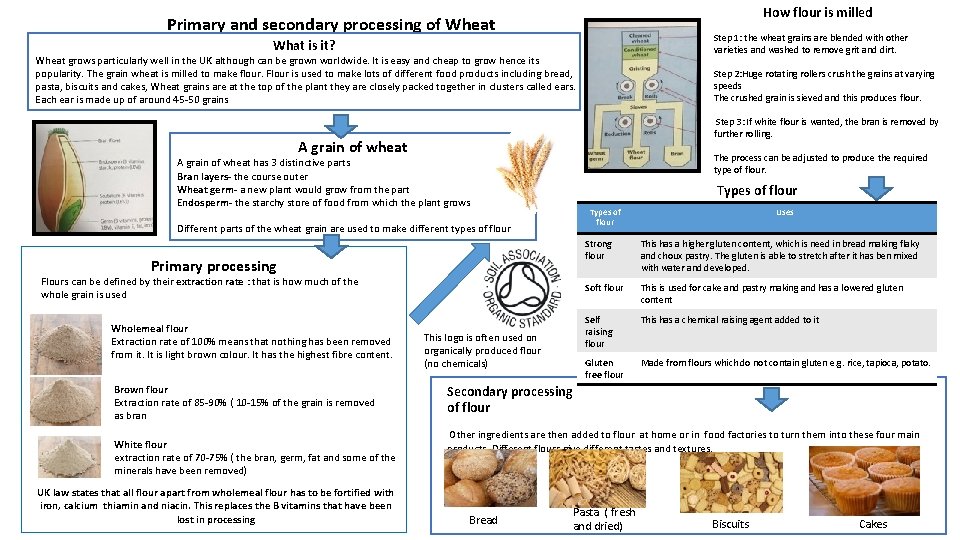 How flour is milled Primary and secondary processing of Wheat Step 1: the wheat