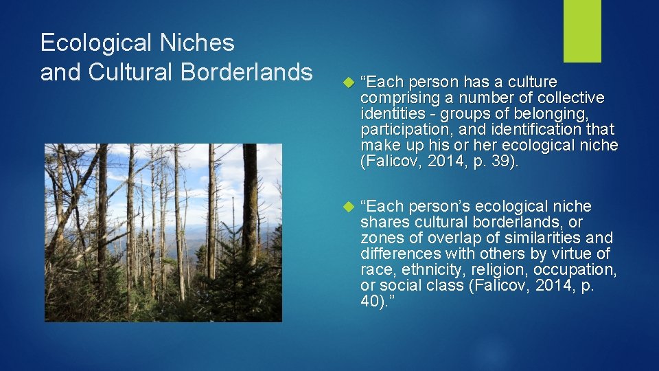 Ecological Niches and Cultural Borderlands “Each person has a culture comprising a number of