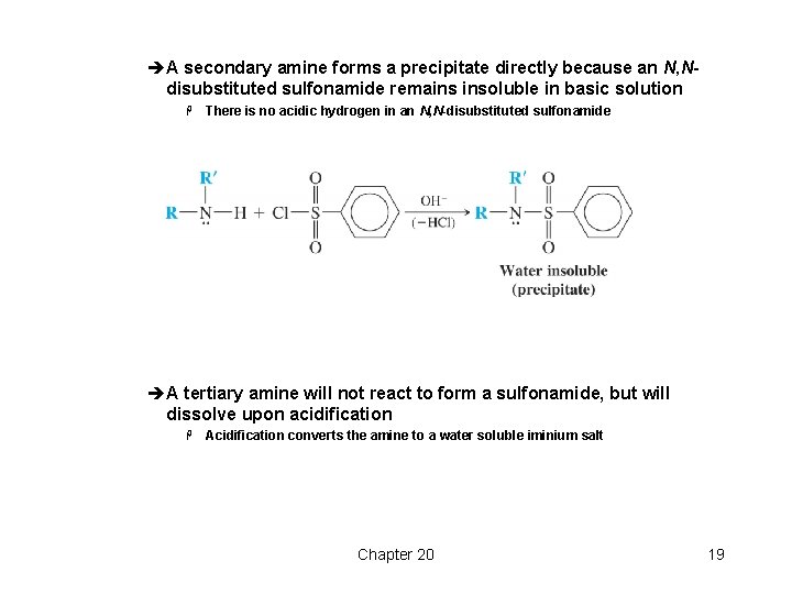 èA secondary amine forms a precipitate directly because an N, Ndisubstituted sulfonamide remains insoluble