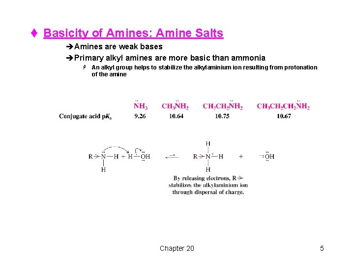 t Basicity of Amines: Amine Salts èAmines are weak bases èPrimary alkyl amines are